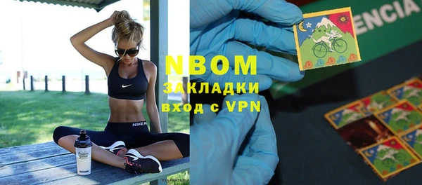 прущие грибы Бронницы