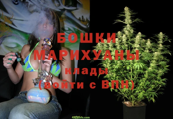прущие грибы Бронницы