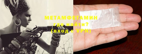 прущие грибы Бронницы