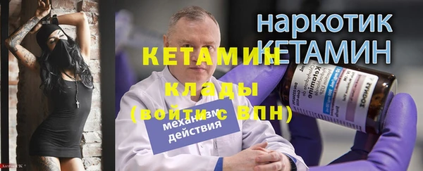 прущие грибы Бронницы