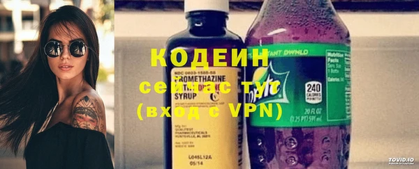 прущие грибы Бронницы
