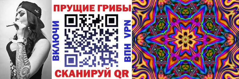 Галлюциногенные грибы Cubensis Кострома